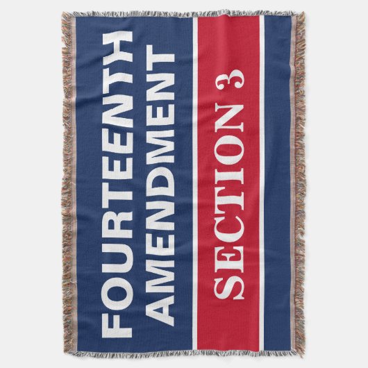 Vierzehnter Änderungsantrag Abschnitt 3 Verfassung Decke (Vorderseite Vertikal)