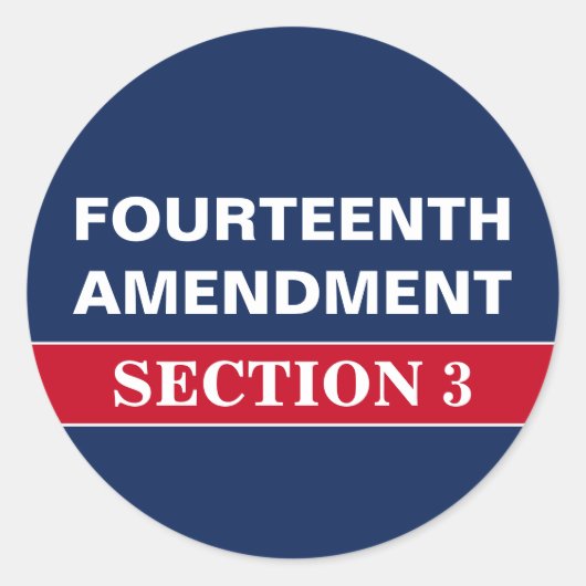 Vierzehnter Änderungsantrag Abschnitt 3 Verfassung Runder Aufkleber (Vorderseite)