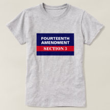 Vierzehnter Änderungsantrag Abschnitt 3 Verfassung