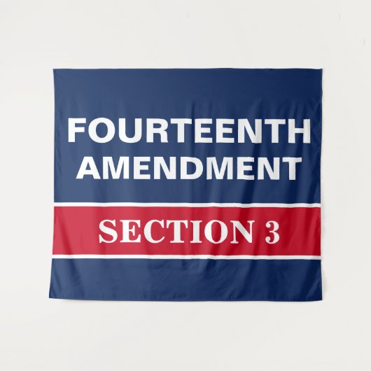 Vierzehnter Änderungsantrag Abschnitt 3 Verfassung Wandteppich (Vorderseite (Horizontal))