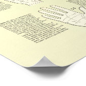 Vierzig Lektionen in der Palmitistik, Poster für P (Ecke)