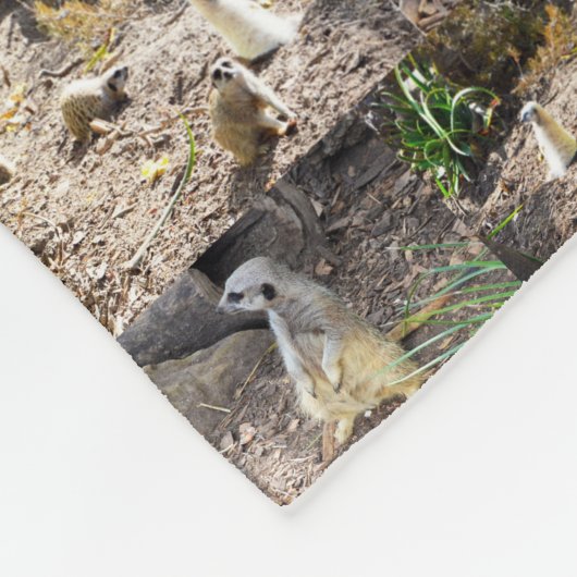 Vierzig Meerkats FotoCollage, Fleecedecke (Ecke)
