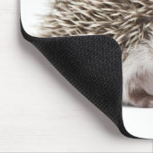 Vierziger-Igel - Atelerix albiventris Mousepad (Ecke)