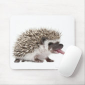 Vierziger-Igel - Atelerix albiventris Mousepad (Mit Mouse)