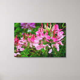 Vietnam - Flower on Ha Giang Plateau Leinwanddruck