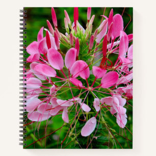 Vietnam - Flower on Ha Giang Plateau Notizblock