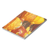 Vietnam, Hoi An Große Laternen, Souvenirs Notizblock (Rotiert)