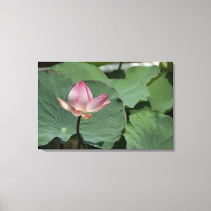 Vietnam, in der Nähe von Saigon) Mein Tho. Vinh T Leinwanddruck