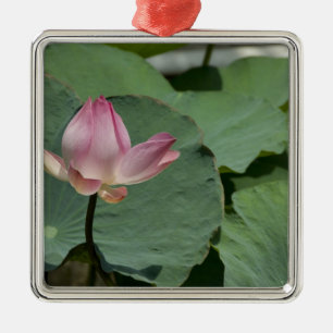 Vietnam, in der Nähe von Saigon) Mein Tho. Vinh T Silbernes Ornament