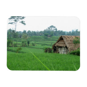 Vietnam Landschaft Magnet