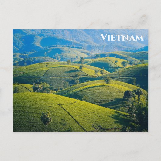 Vietnam Long Coc Teezeremonie auf dem Lande Reisen Postkarte (Vorderseite)