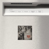 Vietnam Magnet (In Situ (Geschirrspüler))