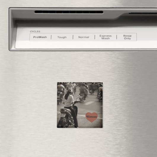 Vietnam Magnet (In Situ (Geschirrspüler))