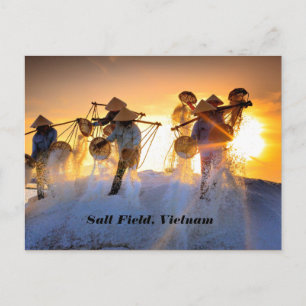 Vietnam Salt Field Postkarte