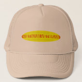 Vietnam veteran cap truckerkappe (Vorderseite)