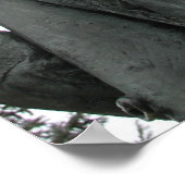 Vietnam Veteran Poster (Ecke)