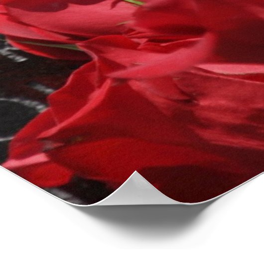 Vietnam Veterans Memorial Poster (Ecke)