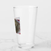 Vietnam Veterans Tribut Glas (Links)