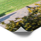 Vietnam War Memorial D.C. Poster (Ecke)