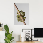 Vietnamese Mossy Frog on a Branch Poster (Heimbüro)