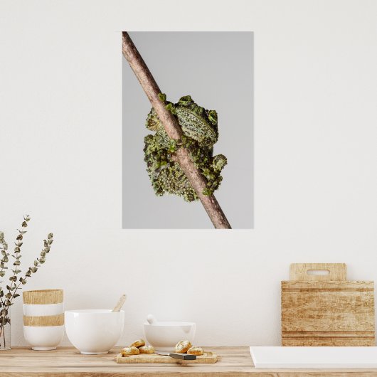 Vietnamese Mossy Frog on a Branch Poster (Küche)