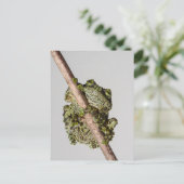 Vietnamese Mossy Frog on a Branch Postkarte (Stehend Vorderseite)