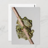 Vietnamese Mossy Frog on a Branch Postkarte (Vorne/Hinten)