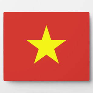 vietnamesische Flagge Fotoplatte