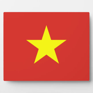 vietnamesische Flagge Fotoplatte