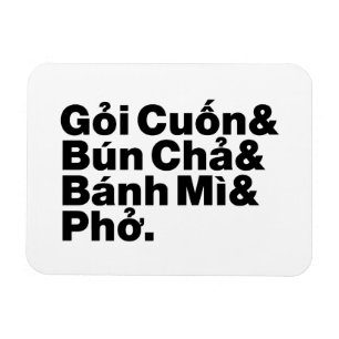 Vietnamesische Straßen-Nahrung Magnet