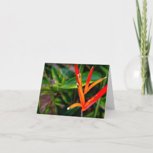 Vietnamesischer Heliconia Jedem Anlass Notecard Dankeskarte