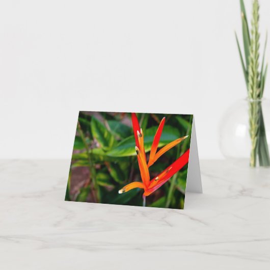 Vietnamesischer Heliconia Jeder Anlass Notecard Dankeskarte (Vorderseite)
