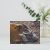 Vietnamesischer Hog Postkarte (Stehend Vorderseite)