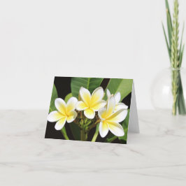 Vietnamesischer Jeden Anlaß Frangipani Notecard Dankeskarte