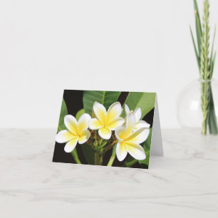 Vietnamesischer Jeden Anlaß Frangipani Notecard Dankeskarte