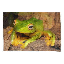 Vietnamesischer Schwarz-Vernetzter gleitener