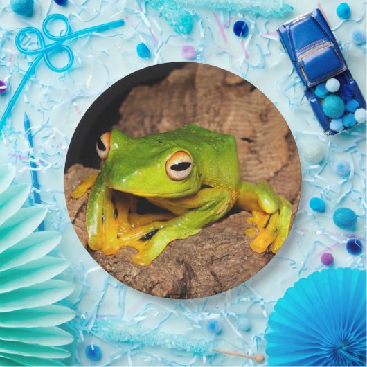 Vietnamesischer Schwarz-Vernetzter gleitener Pappteller (Party)