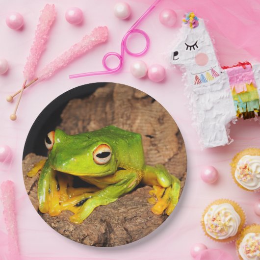 Vietnamesischer Schwarz-Vernetzter gleitener Pappteller (Party)