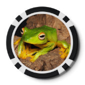 Vietnamesischer Schwarz-Webbed Gliding Frog Pokerchips (Rückseite)