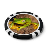 Vietnamesischer Schwarz-Webbed Gliding Frog Pokerchips (Oberseite)