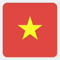 Vietnamesischer Star