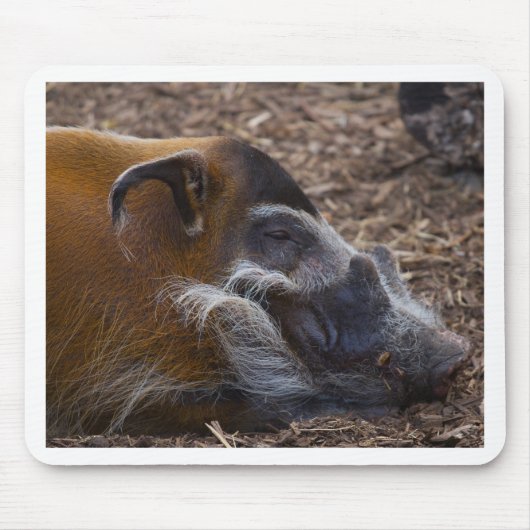 Vietnamesisches Schwein Mousepad (Vorne)