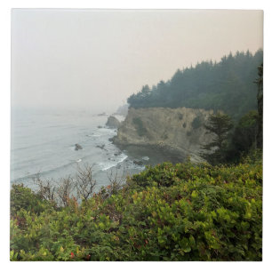 View at Simpson Reef Overlook Oregon Coast Fliese