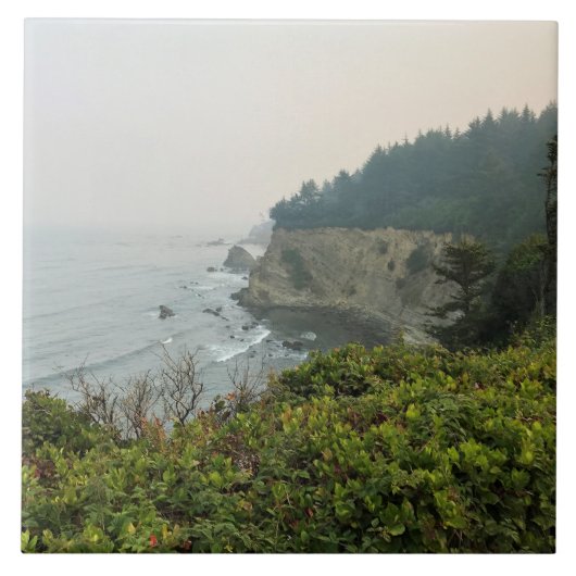 View at Simpson Reef Overlook Oregon Coast Fliese (Vorderseite)