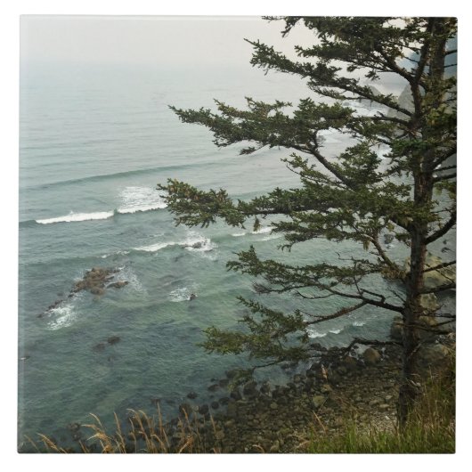 View at Simpson Reef Overlook Oregon Coast Fliese (Vorderseite)