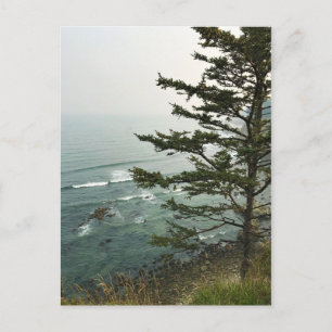 View at Simpson Reef Overlook Oregon Coast Postkarte