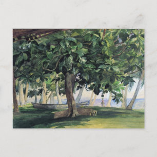 'View From Hut' - John LaFarge Postcard Postkarte