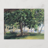 'View From Hut' - John LaFarge Postcard Postkarte (Vorderseite)