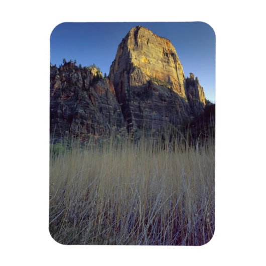 View from Virgin River flood plain, Zion Canyon Magnet (Vertikal)