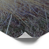 View from Virgin River flood plain, Zion Canyon Poster (Ecke)